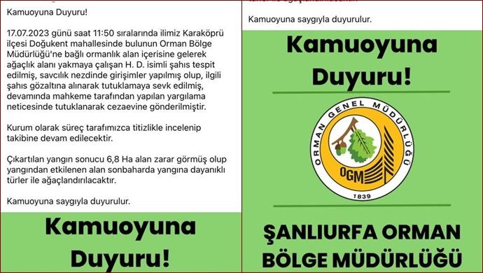 Orman Yangınına Neden Olduğu İddiasıyla Yakalanan Şüpheli Tutuklandı