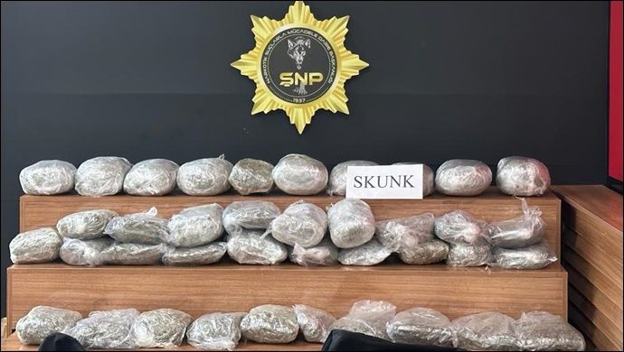Şanlıurfa ‘da 32 kilo 600 gram Skunk ele geçirildi