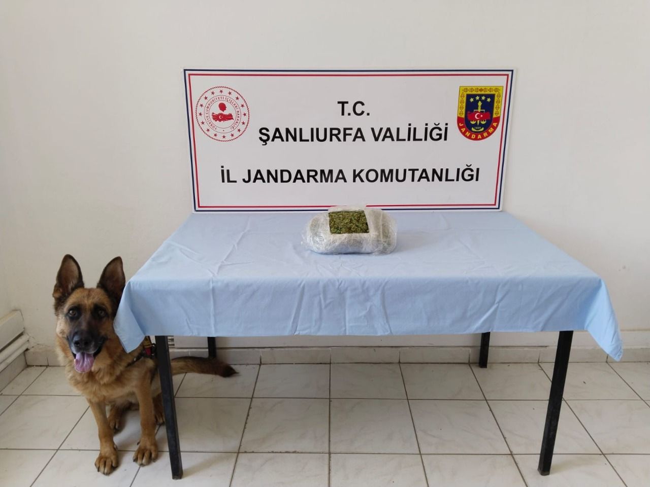 Şanlıurfa ‘da uyuşturucu operasyonu