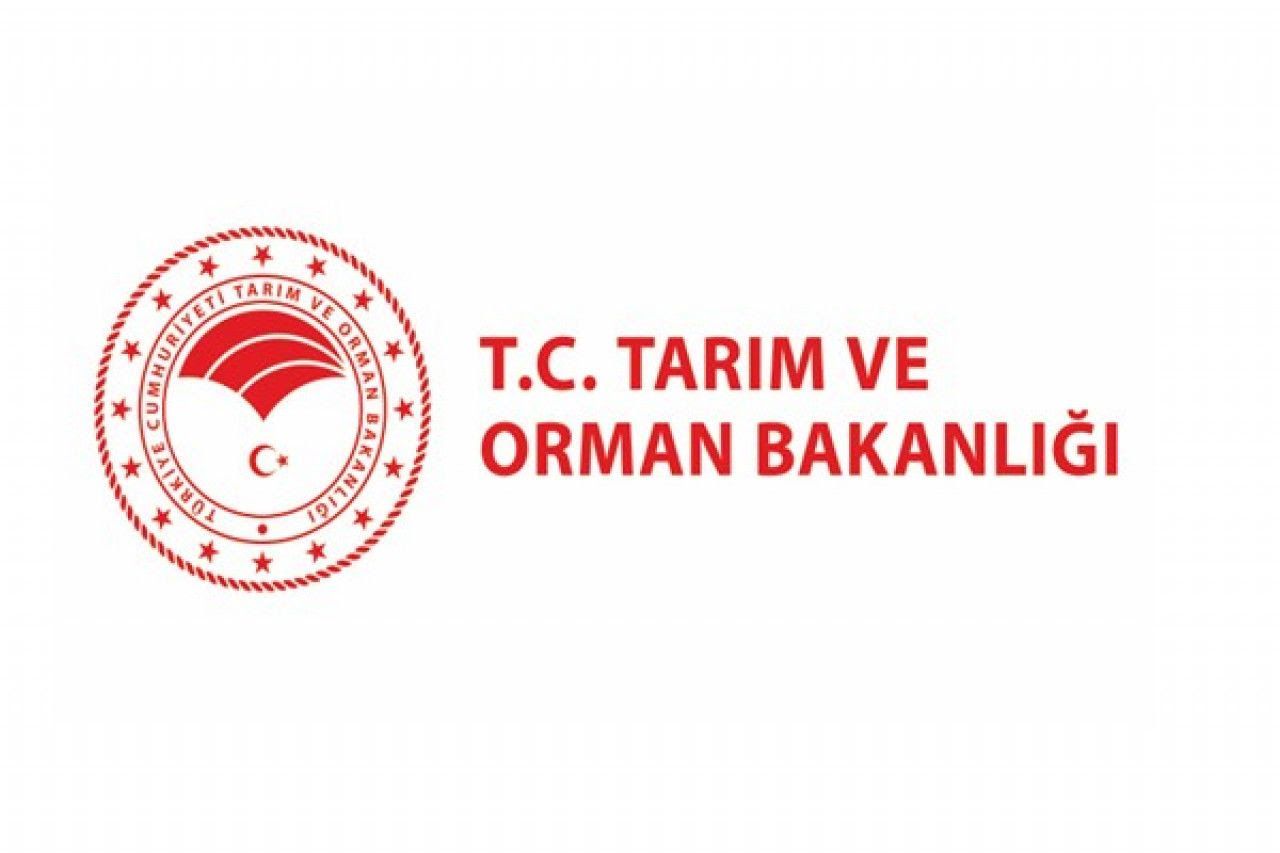 Bakanlık duyurdu: Bugün Başladı