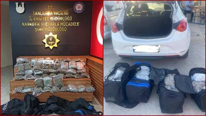 Şanlıurfa ‘da 34 kilo 500 gram Skunk maddesi ele geçirildi