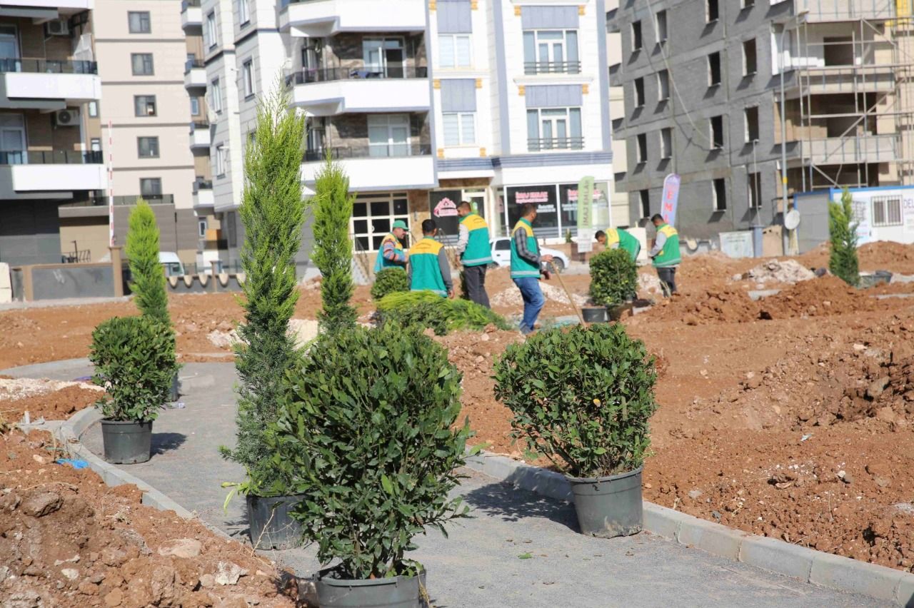 Karaköprü ‘de yeni parklarda ağaçlandırma çalışmaları
