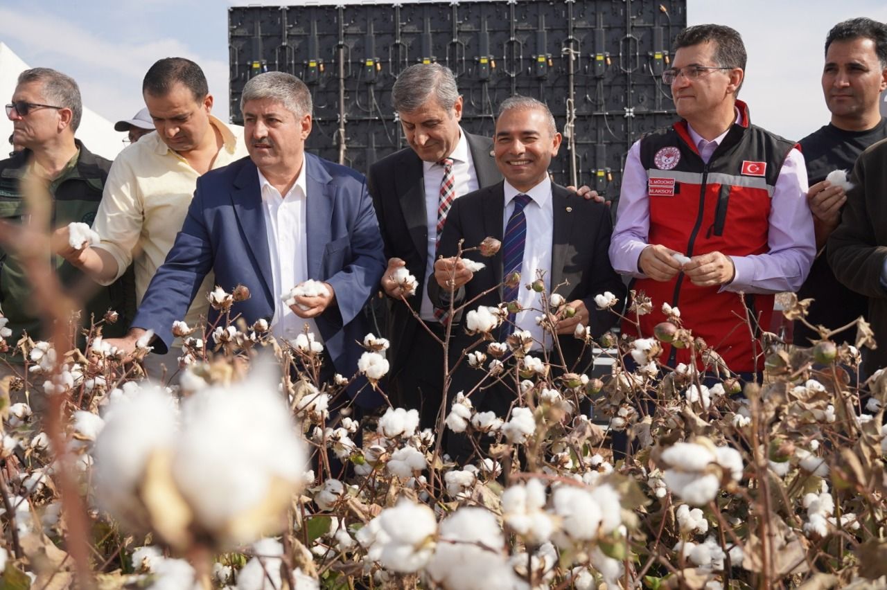 Şanlıurfa’da 1.Pamuk festivali düzenlendi