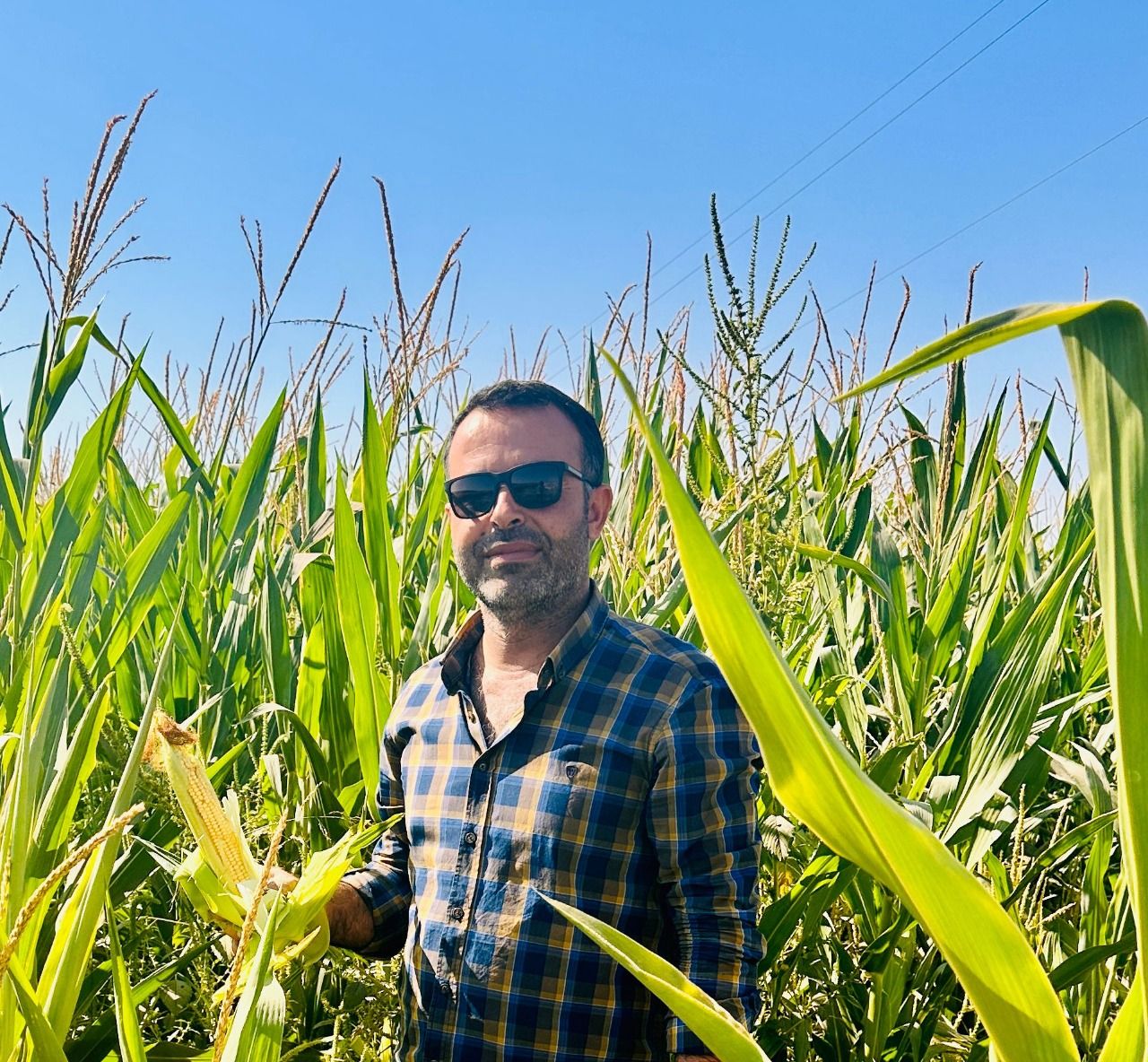 Yılmaz: Mısır fiyatı en az 9.4 TL olmalı