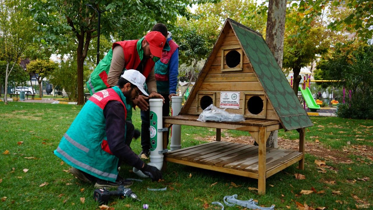 Karaköprü’de Parklara Kedi Evleri Yerleştiriliyor