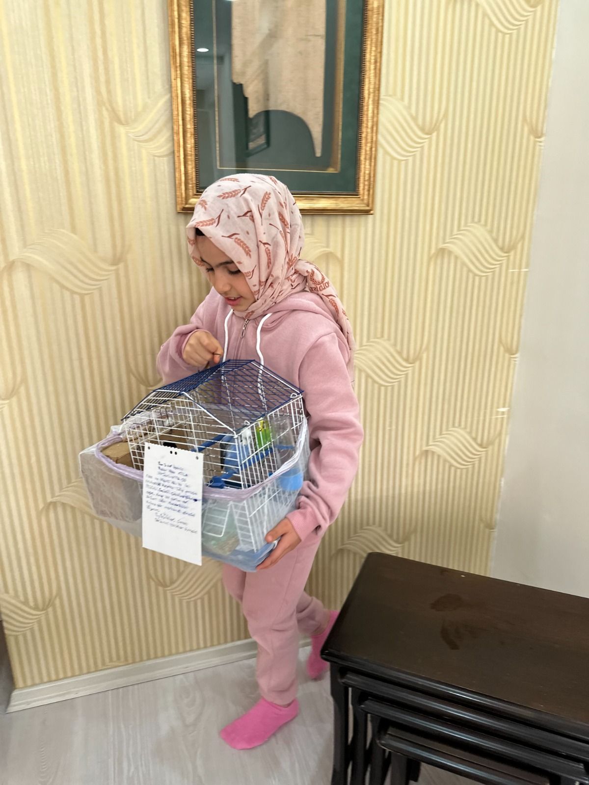 Küçük ama yüreği büyük; *Hacer Aksa kuşlarını Gazze için bağışladı!*