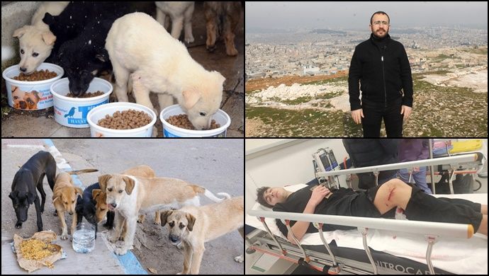 HÜDA PAR; Katil köpekler mi köpekleri kontrolsüzce besleyenler mi?