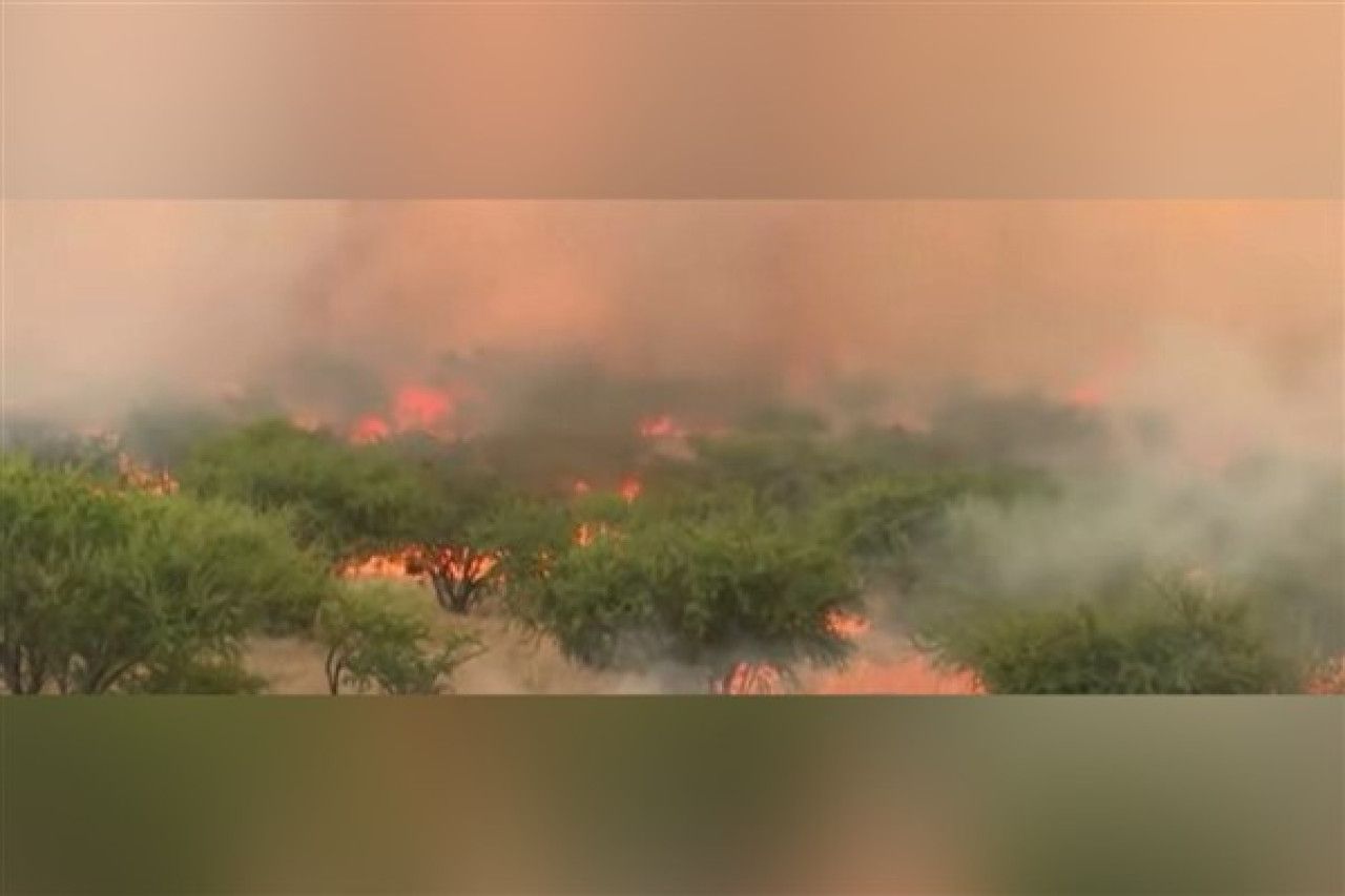 Orman yangınları Şili’yi felç etti: 70’den fazla ölü