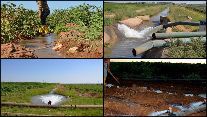 Dicle Elektrik’ten çiftçilere bir uyarı daha!