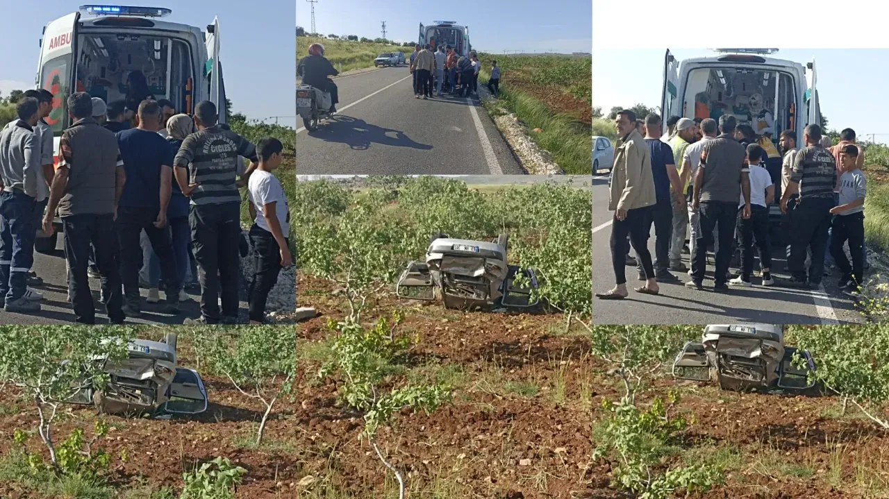 Şanlıurfa’da Otomobil Fıstık Bahçesine Uçtu: Sürücü Yaralandı