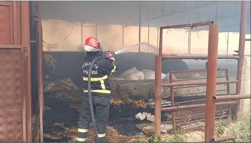 Eyyübiye ‘de çiftlik yangını: İtfaiye müdahale etti