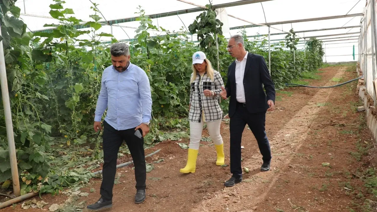 Eyyübiye Sera Kent Çiftçilere Eğitim Desteği Verecek