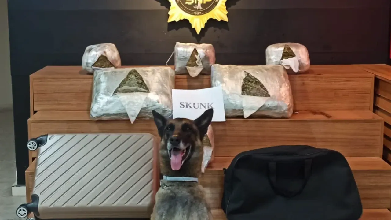 Şanlıurfa’da 10 Kilo 600 Gram Skunk Ele Geçirildi: 1 Şüpheli Yakalandı