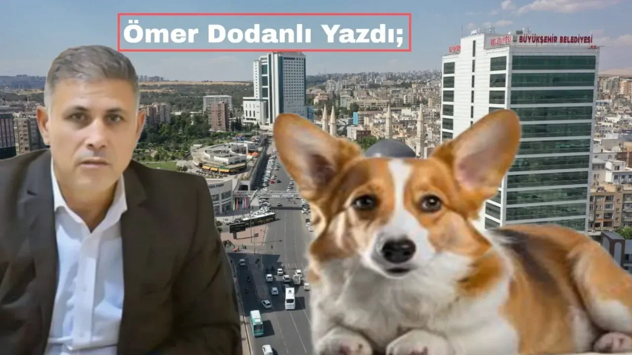 Hayvanseverlik Maskesi Altında Dönen Rant Düzeni