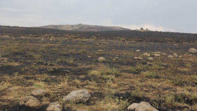 Karacadağ’da yangın