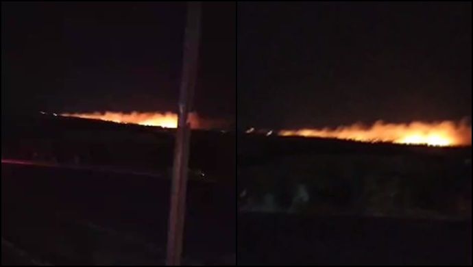 Şanlıurfa’nın Karaköprü İlçesinde Orman Yangını