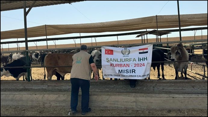 URFA İHH GAZZE İÇİN MISIR’DA
