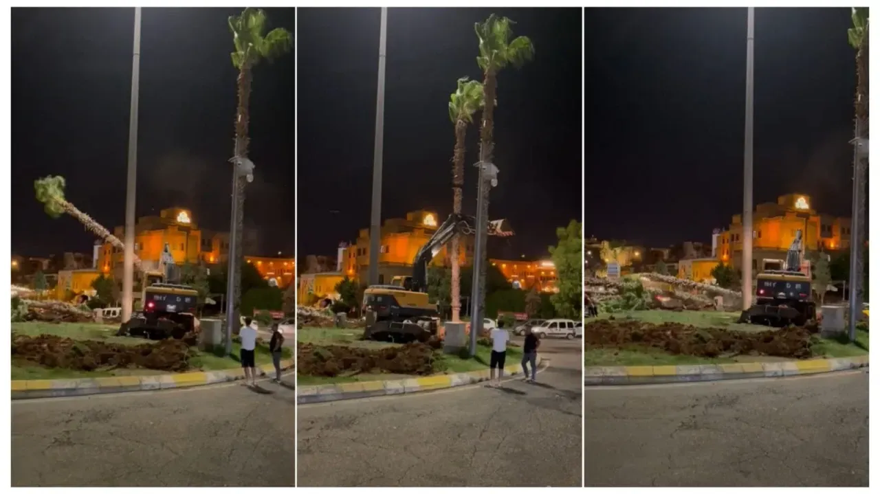 Şanlıurfa’da Ağaç Katliamı: Balıklıgöl’de Palmiyeler Yok Edildi