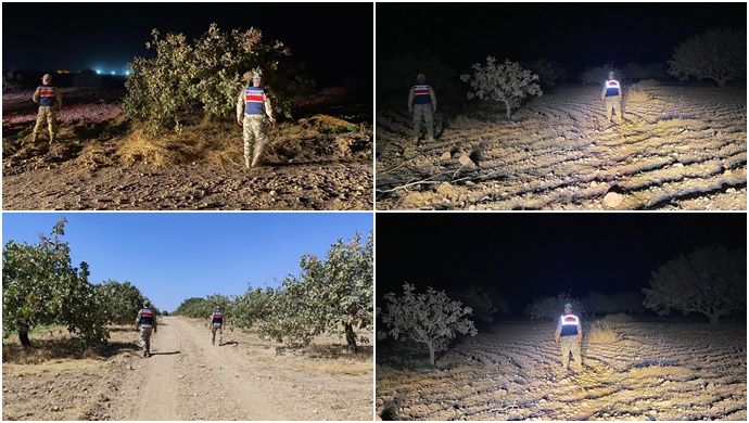 Şanlıurfa’da Fıstık Hırsızlıklarına Karşı 24 Saat Kesintisiz Devriye