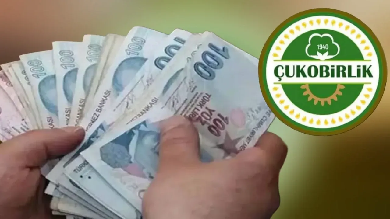 Çukobirlik Pamuk Alım Fiyatını Yükseltti