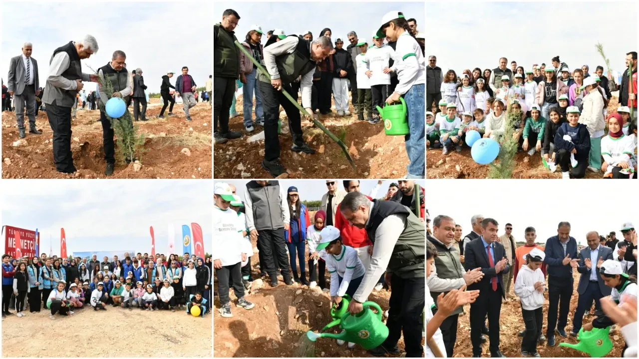 Şanlıurfa’da Binlerce Fidan Toprakla Buluştu