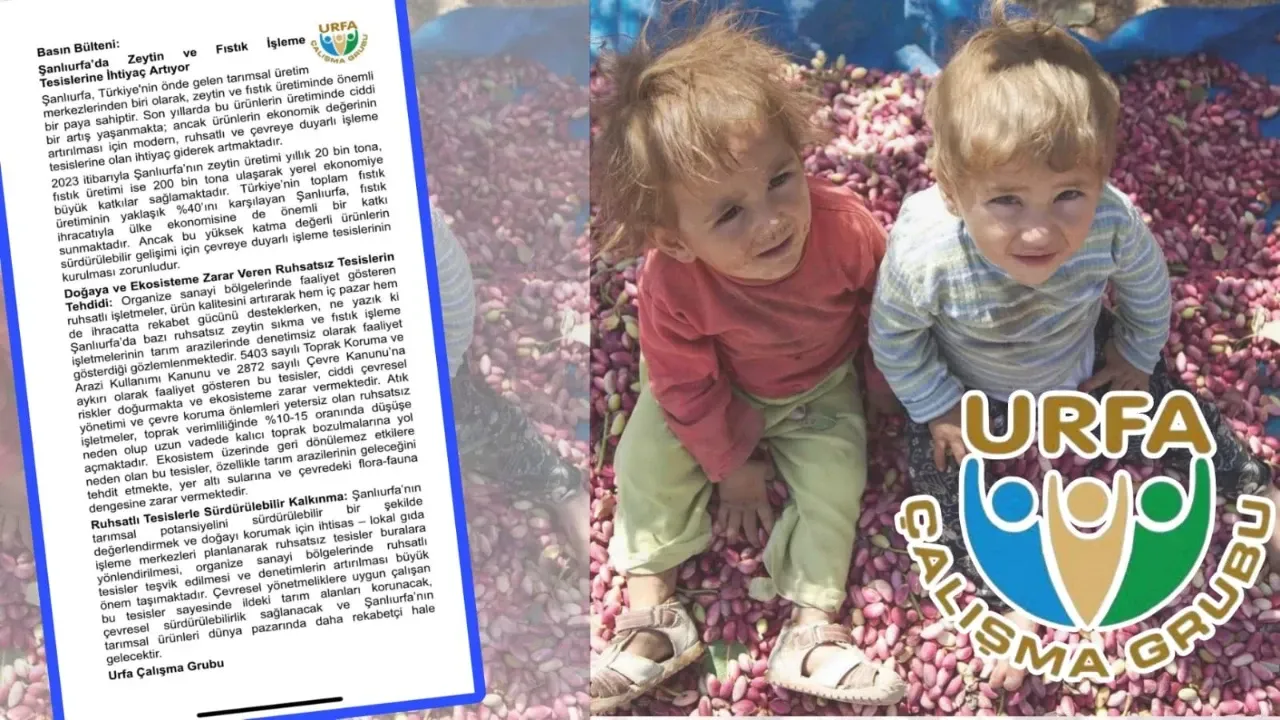 Şanlıurfa’da Zeytin ve Fıstık İşleme Tesisleri İhtiyacı Artıyor