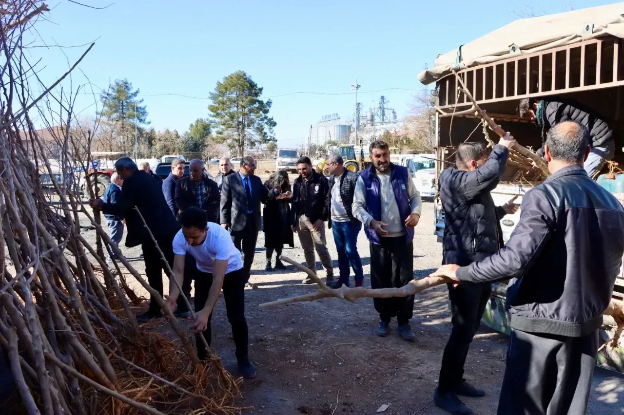  Büyükşehir Belediyesi’nden İpek Böceği Yetiştiricilerine Dut Ağacı Desteği