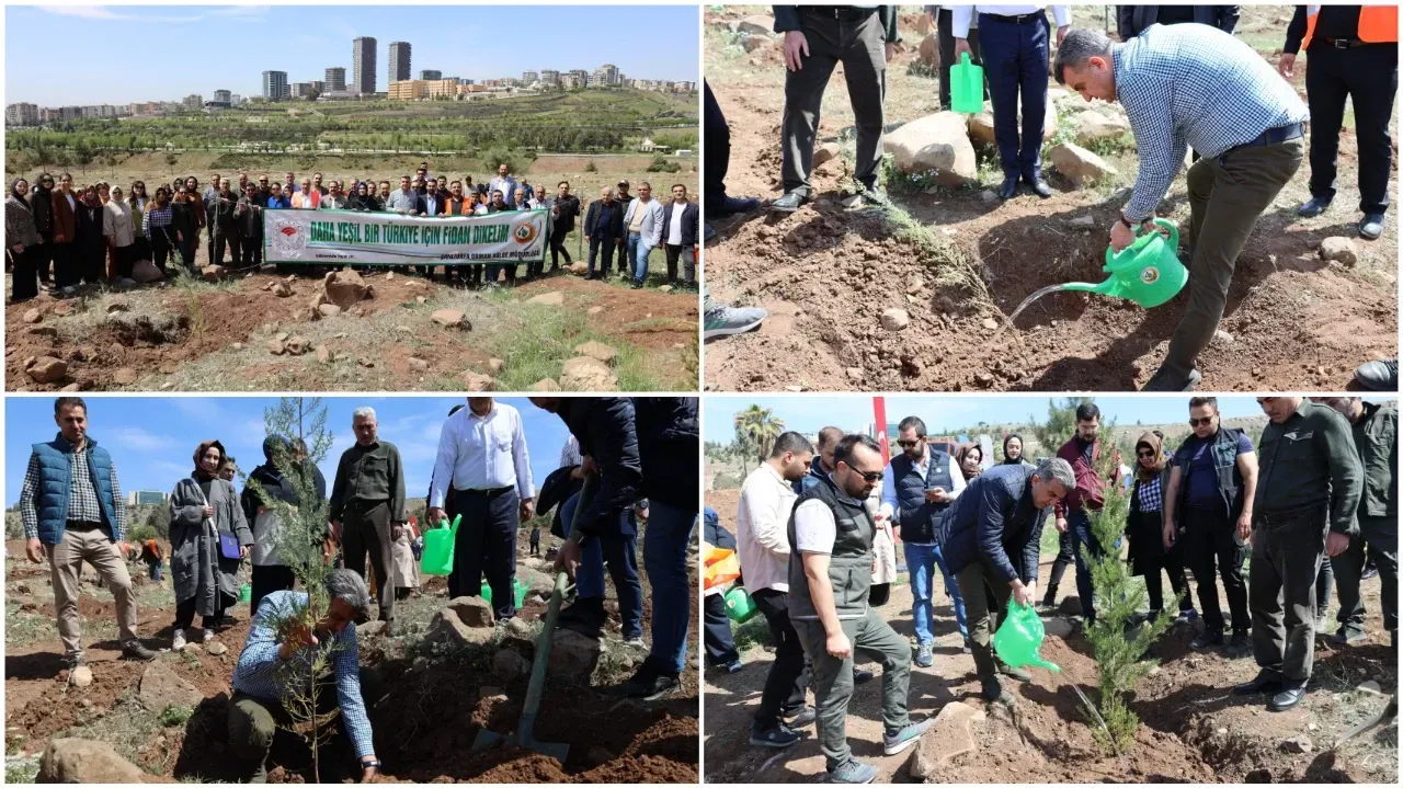 AK Parti Şanlıurfa İl Teşkilatından Fidan Dikim Etkinliği