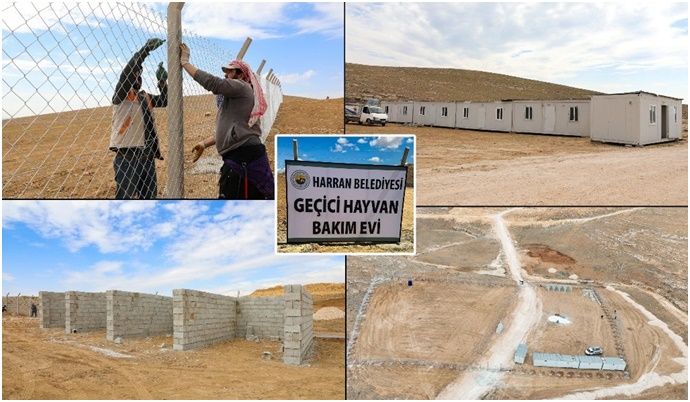 Harran Belediyesi Hayvan Bakım Evi Ve Doğal Yaşam Alanı İnşa Ediyor
