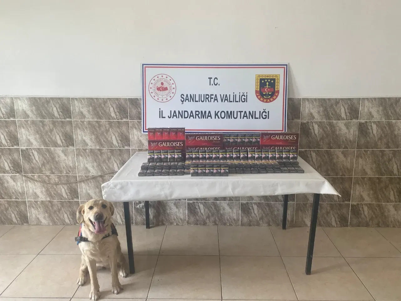 Viranşehir’de Kaçak Sigara Operasyonu: 2 Bin 816 Paket Ele Geçirildi