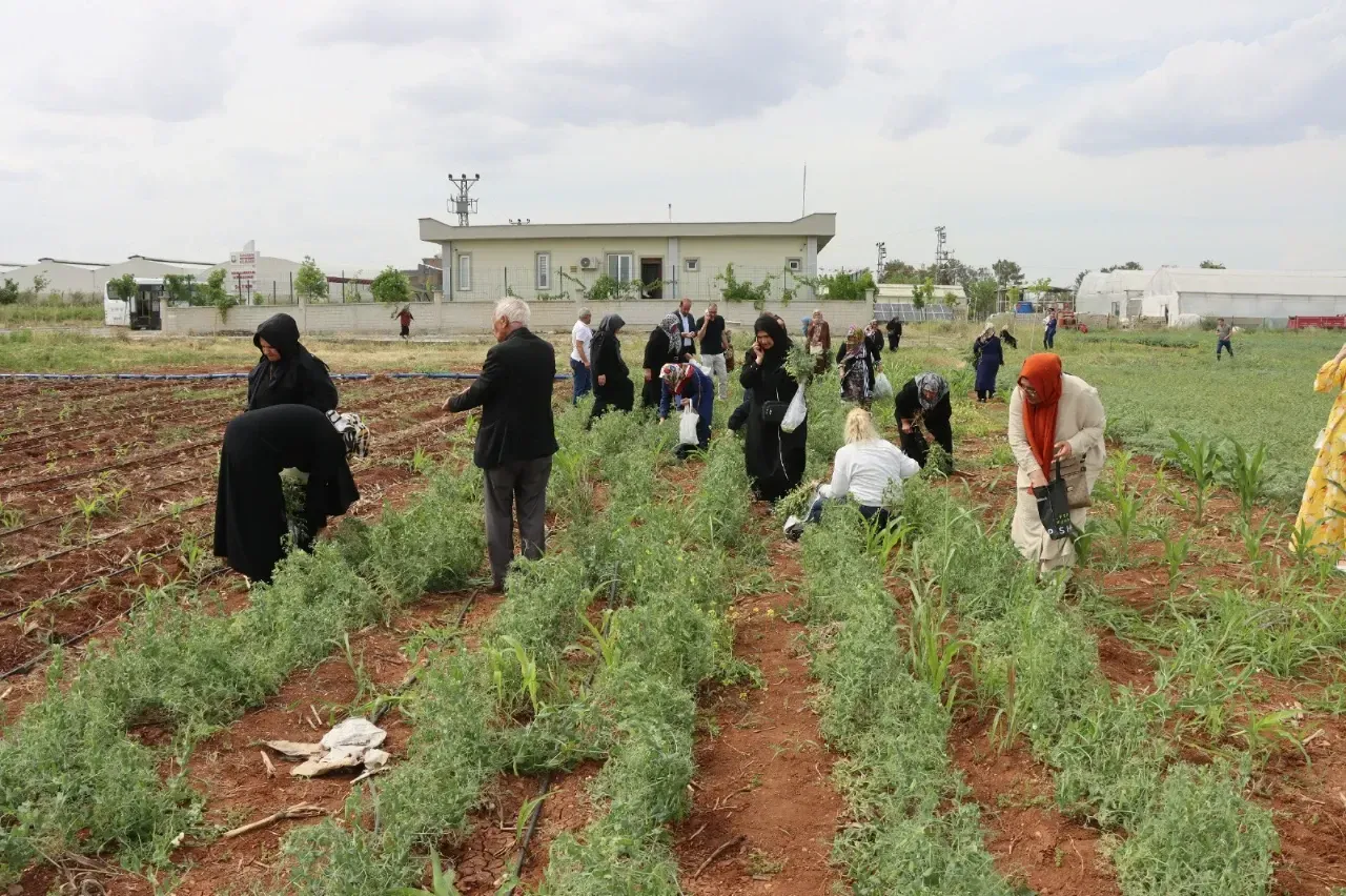 Büyükşehir’den Emekli Kadınlara Yönelik “Süs Bitkisi Yetiştiriciliği Eğitimi