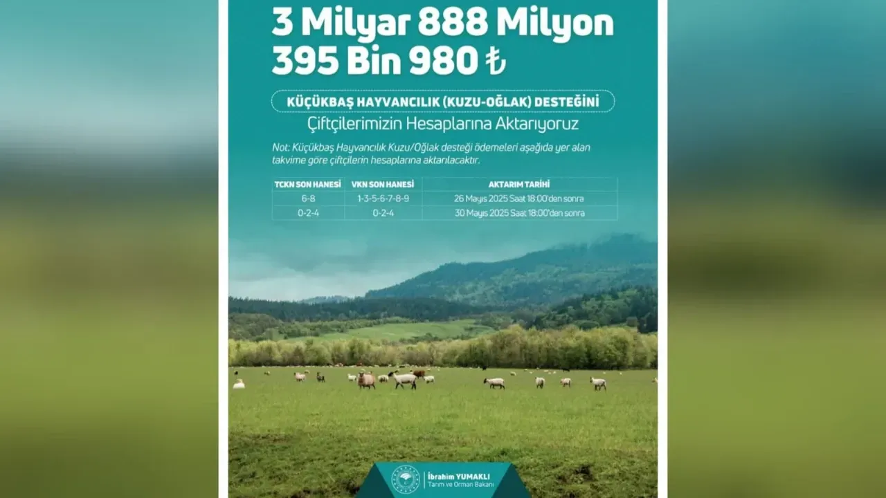 Küçükbaş Hayvancılık Destekleme Ödemeleri Hesaplara Yatırılıyor