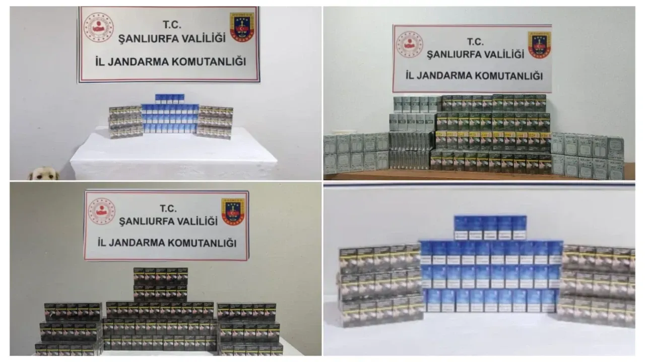 Şanlıurfa’da Kaçak Sigara Operasyonu: 980 Paket Ele Geçirildi