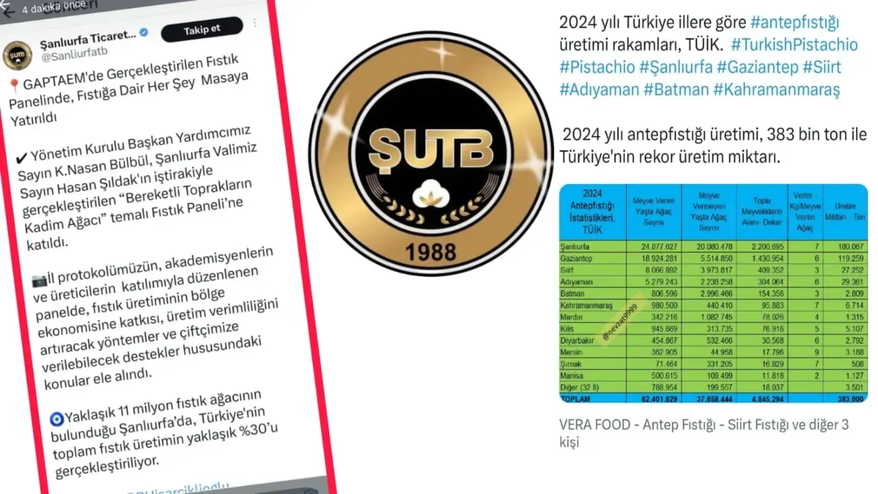 Şanlıurfa Ticaret Borsası’nın Yanlış Fıstık Hesabı Alay Konusu Oldu!
